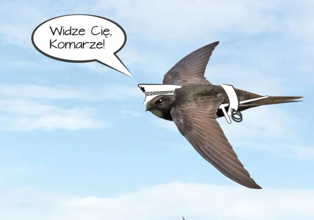 Jaki ptak zjada komary? Odkryj naturalnych sprzymierzeńców w walce z nimi