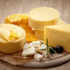 Czy pies może jeść ser żółty? Sprawdź, czy to bezpieczne dla psa