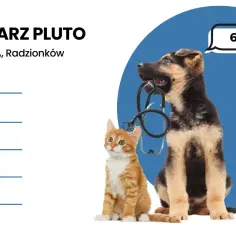 Czy weterynarz jest otwarty w niedziele? Sprawdź, gdzie uzyskasz pomoc