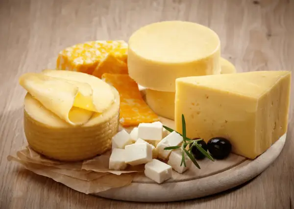 Czy pies może jeść ser żółty? Sprawdź, czy to bezpieczne dla psa